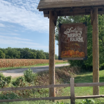 Roca Berry Farm