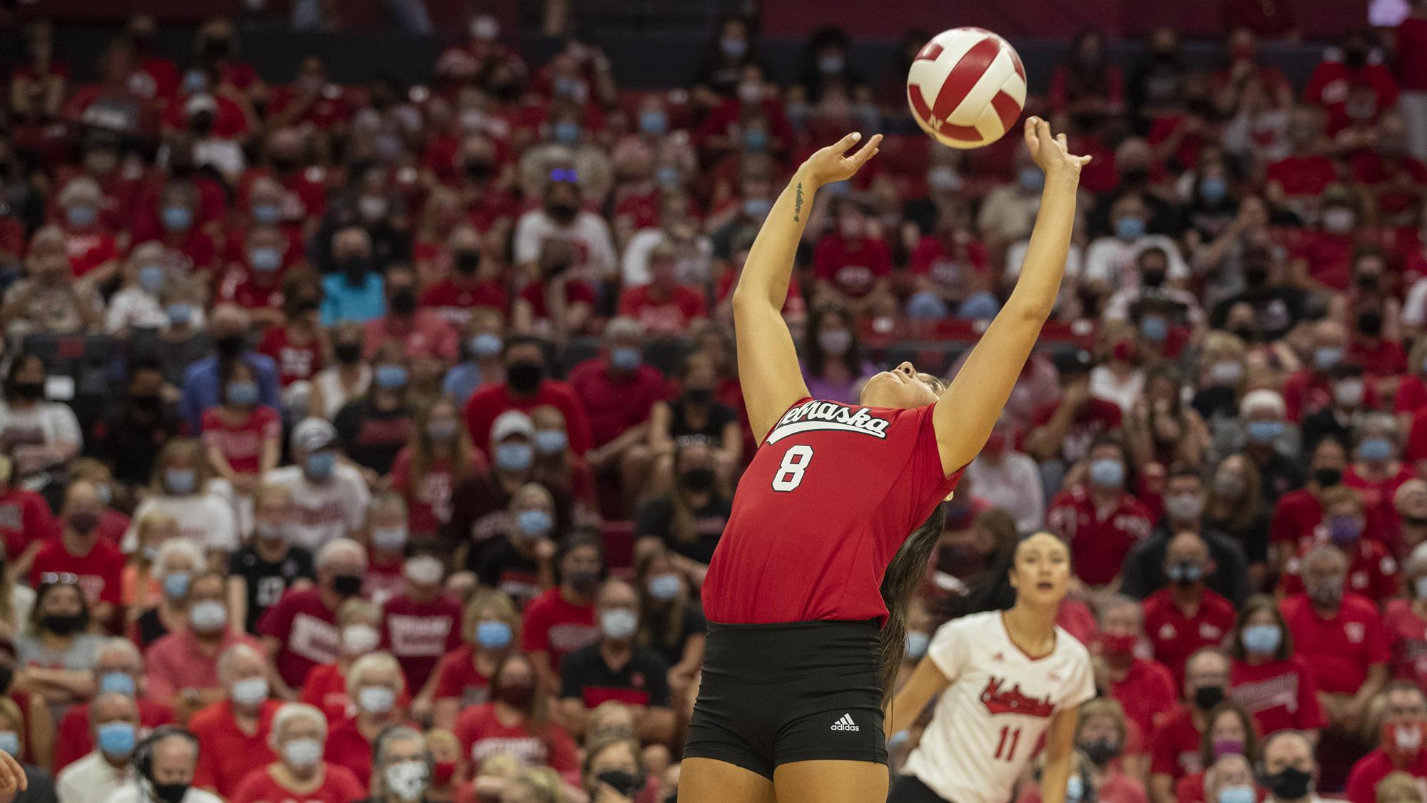 Lexi Rodriguez Named AVCA Freshman Of The Year