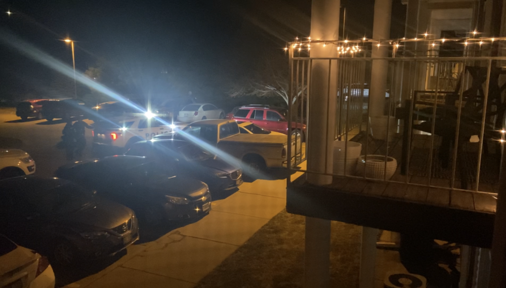 Pine Lake Road domestic incident