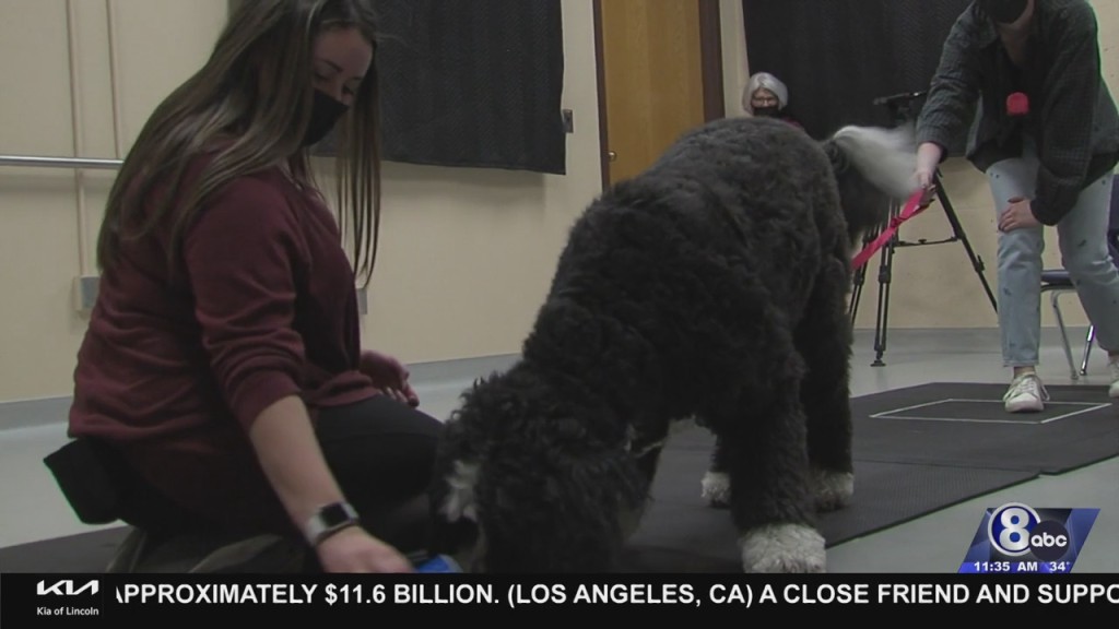 Unl Dog Lab Studies Benefits Of Interaction Between Dogs And People