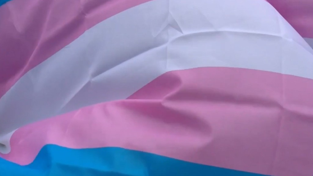 V Trans Day Of Visibility 6pm News Vo 27686 Mmeyer00 00 14 41still001