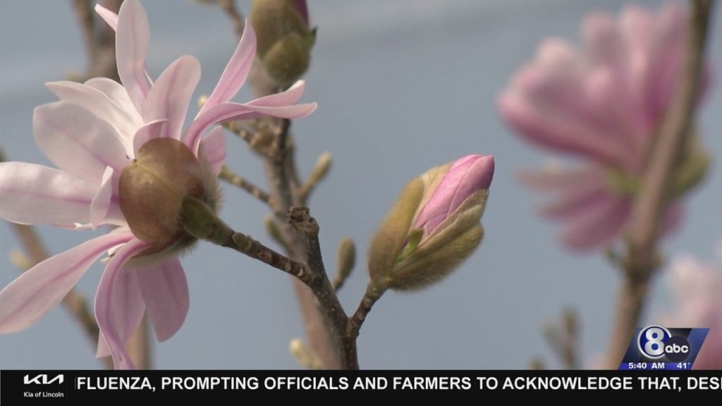 Even As The Weather Warms, Hold Off On Planting