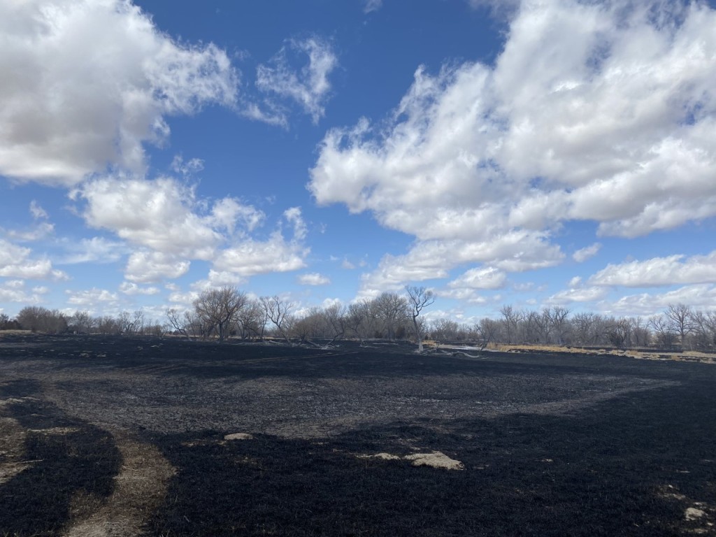 Sutherland Fire