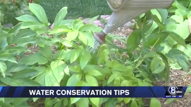 Water Conservation Requested