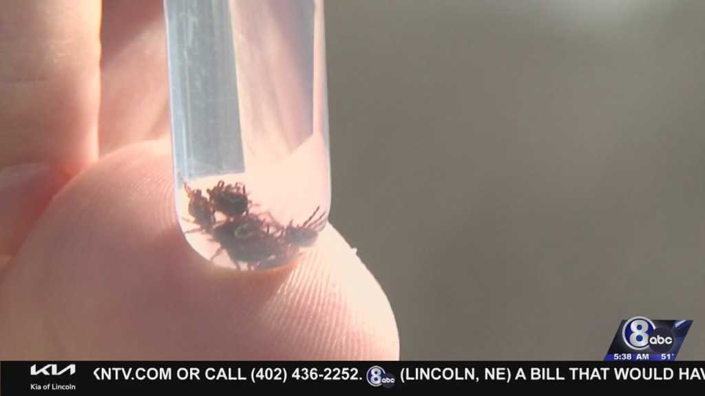 Tick Collection Leads Summer Prep For Health Agencies