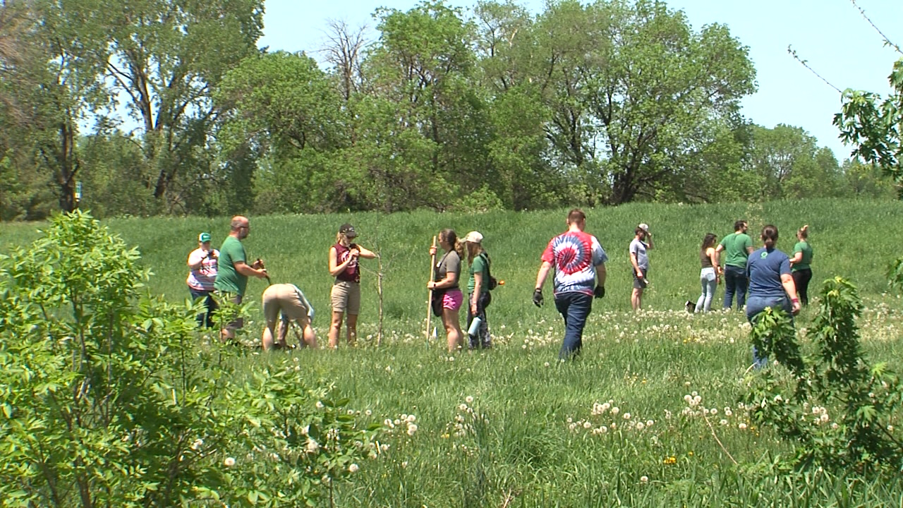 Arbor Day Foundation plants 100 trees in Lincoln after 2week rain delay