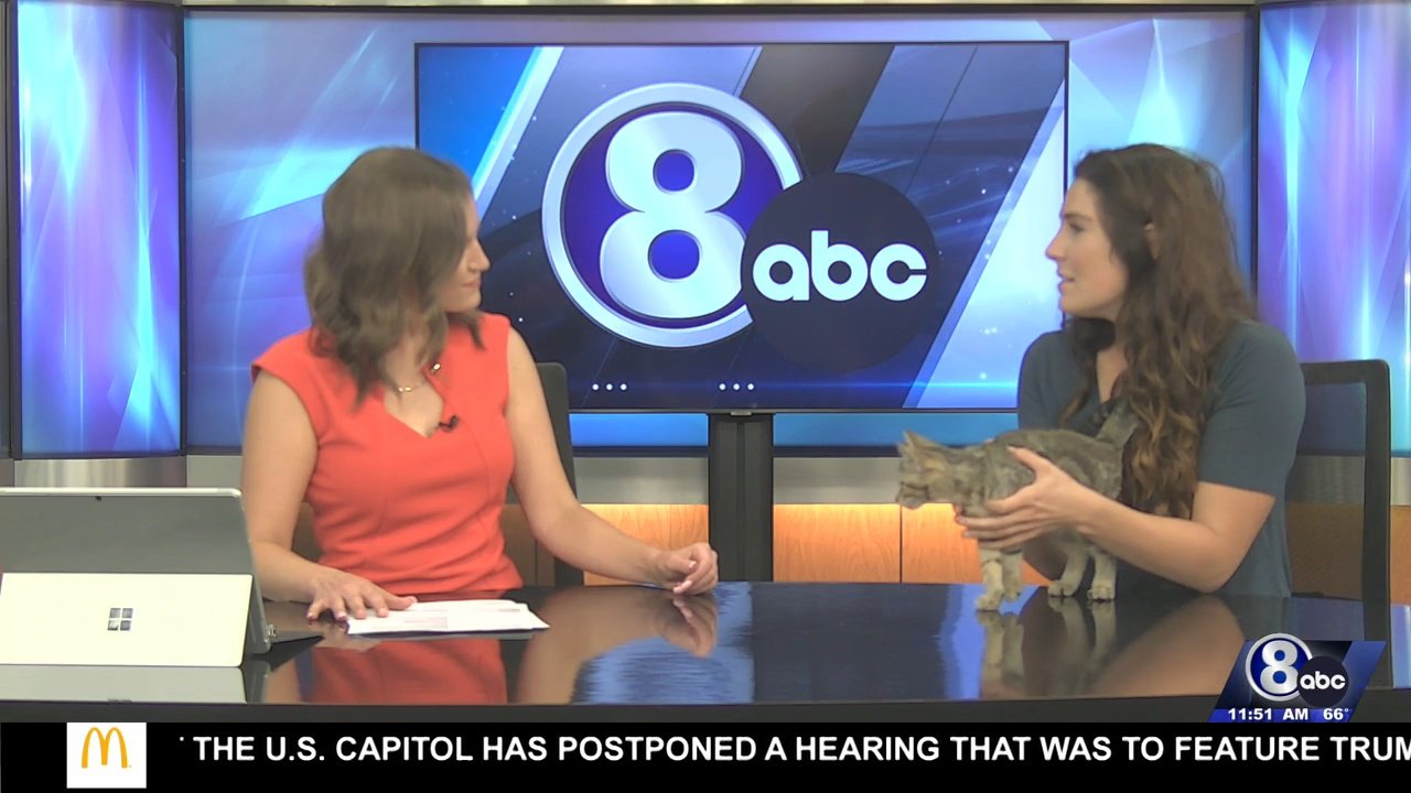 Midday Interview: Capital Humane Society (Leonard)