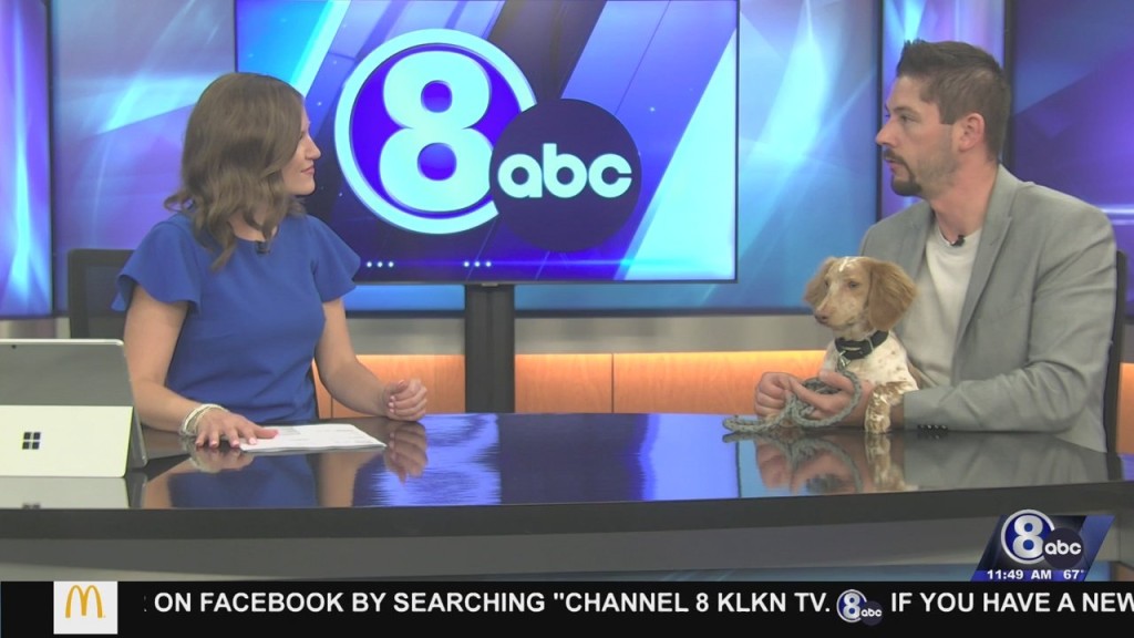 Midday Interview: Capital Humane Society (tootsie)