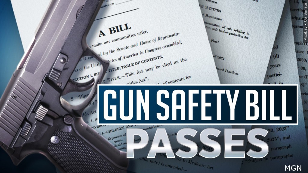 Gun Safety Bill Passes