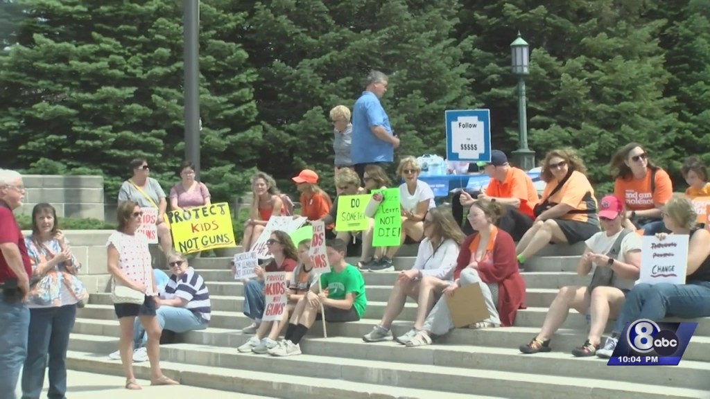 Dozens Attend Protest At State Capitol To Demand Stiffer Gun Laws