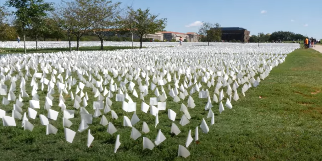 Artist To Set Up Over 4,000 Flags Outside State House To Remember Covid 19 Victims