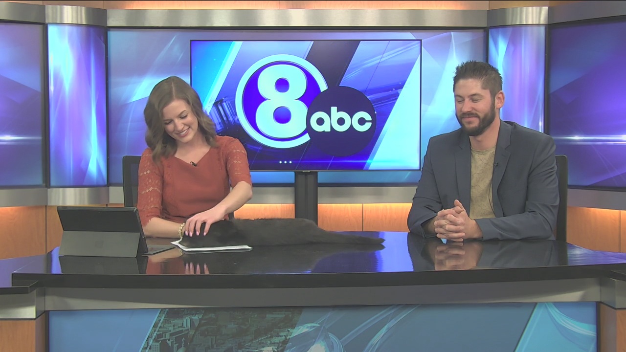 Midday Interview: Capital Humane Society (Leo)