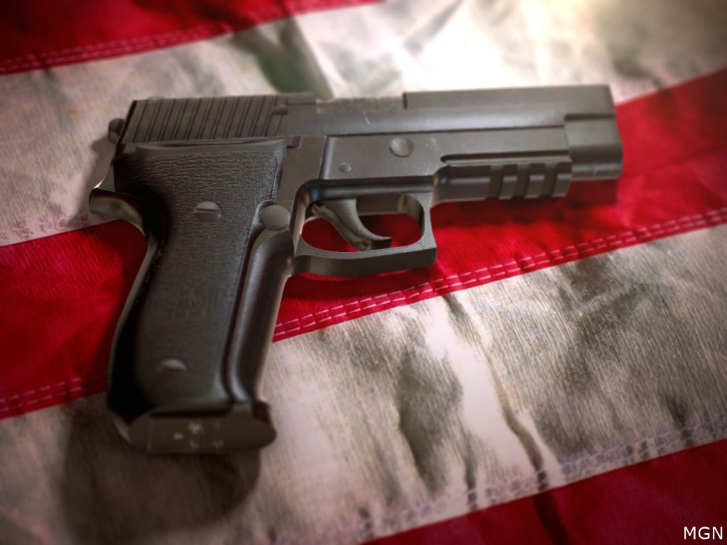 Gun Control USA