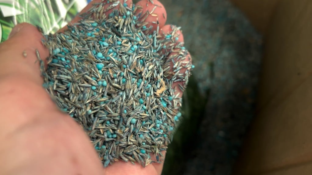 grass seed