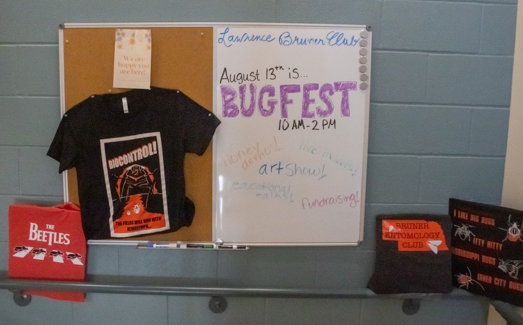 Bugfest 1 20220813