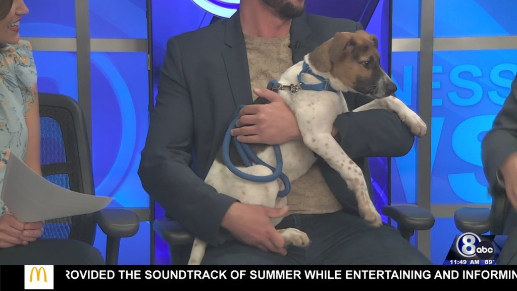 Midday Interview: Capital Humane Society (renae)