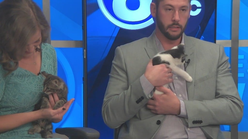 Midday Interview: Capital Humane Society (ella & Honey)