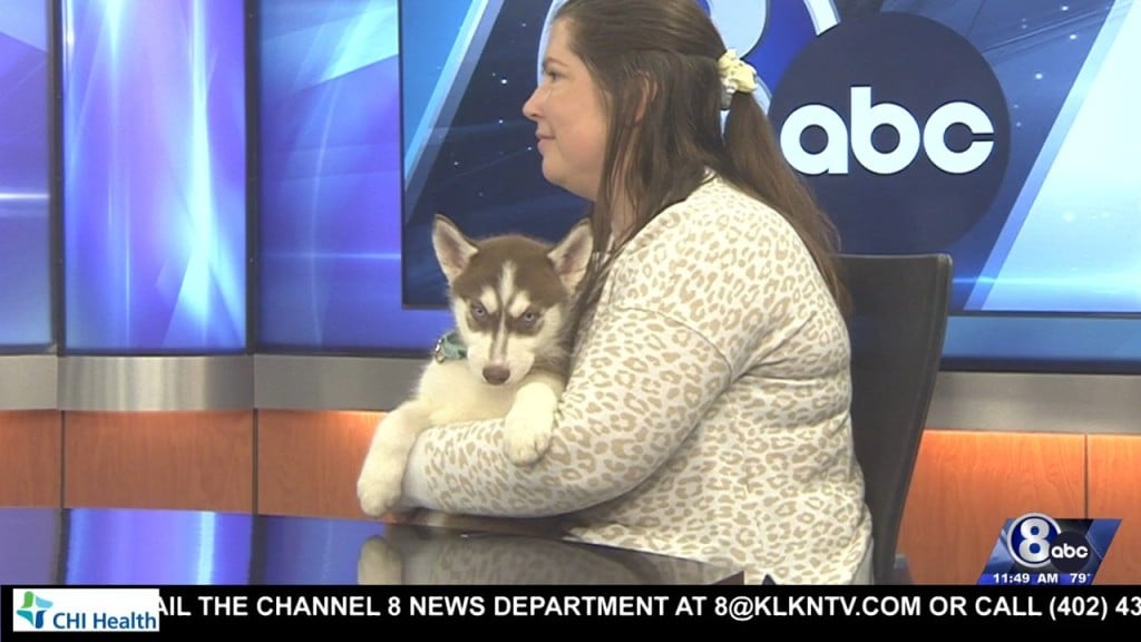 Midday Interview: Capital Humane Society (albert)