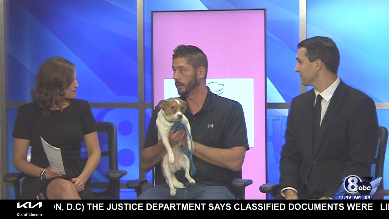 Midday Interview: Capital Humane Society (Dot)