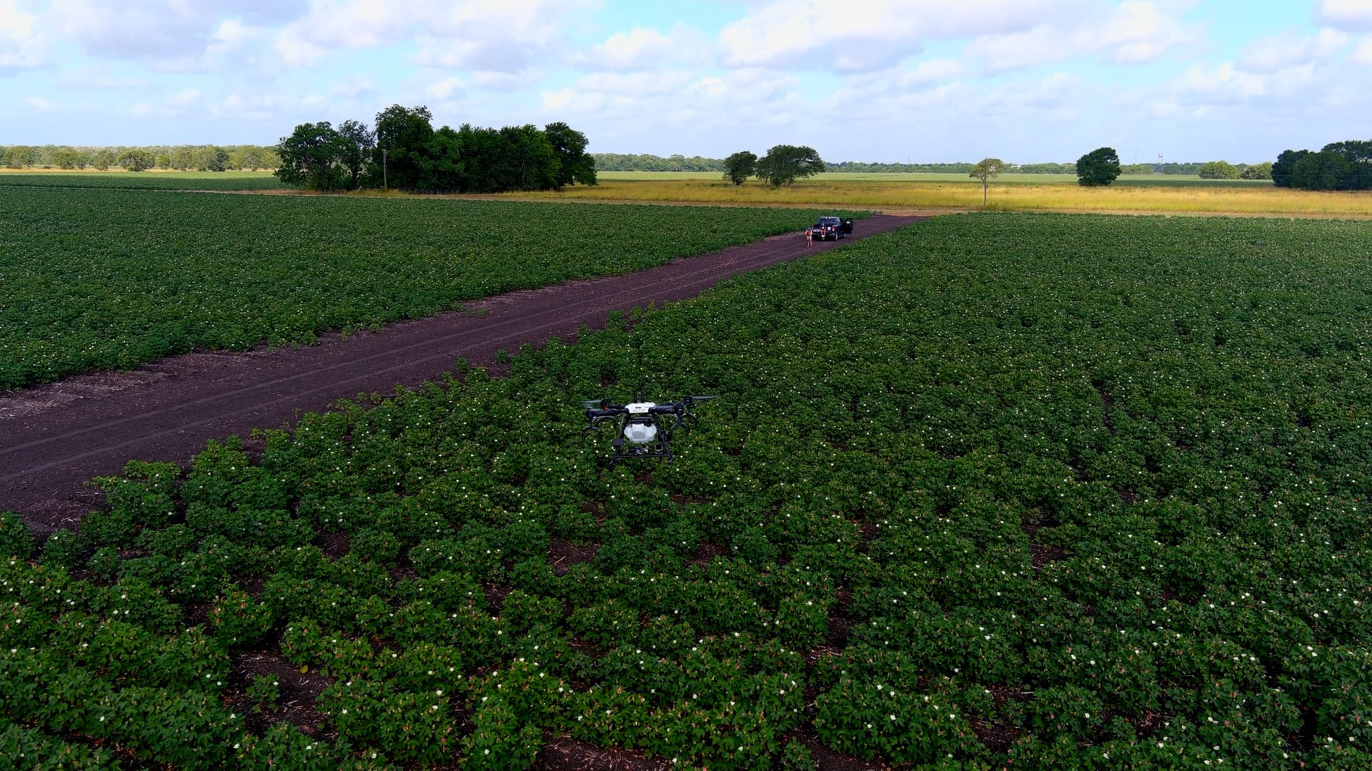 Drones could save Nebraskan farmers as fertilizer prices rise from inflation - Vimarsana News