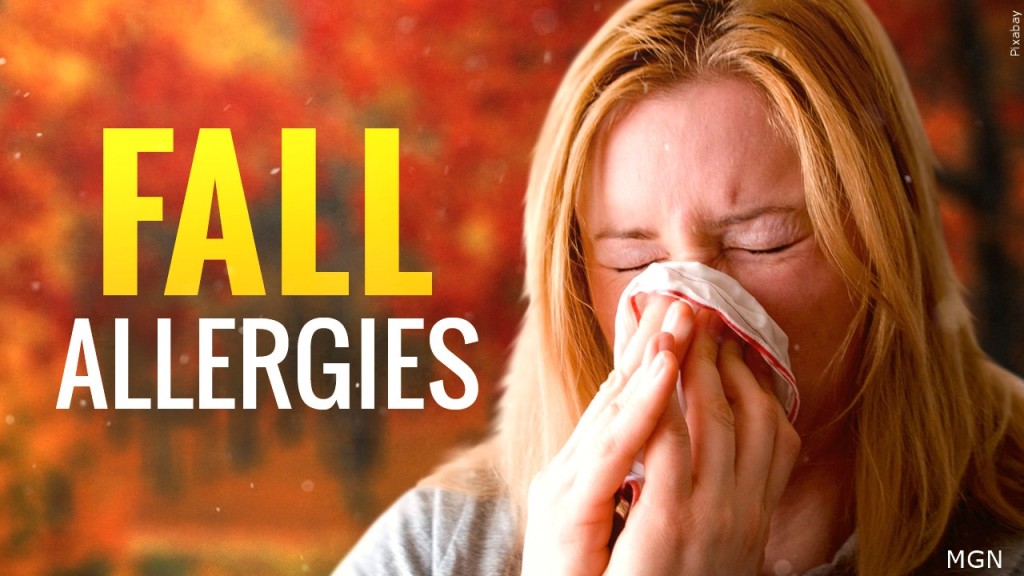 Fall Allergies Mgn
