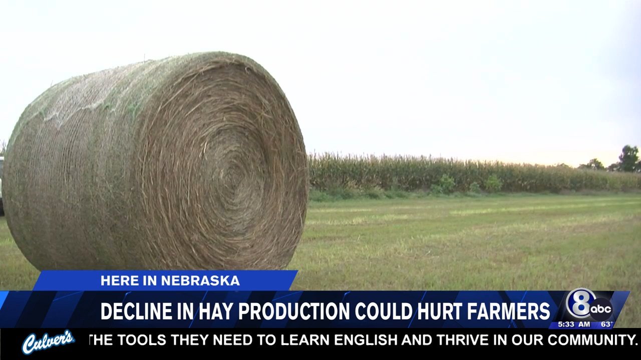 Head of Nebraska Farm Bureau says hay production decline could hurt