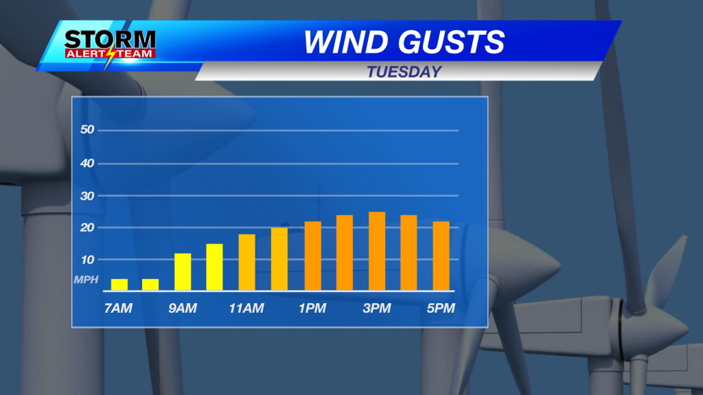 Wind Gust Forecast - Tuesday