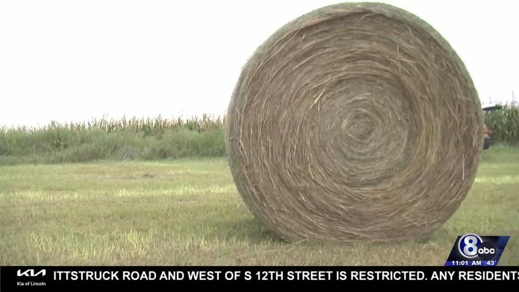 Hay Available For Farmers Affected By Wildfires
