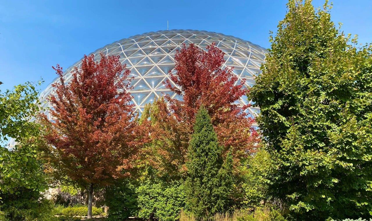 Omaha zoo employee sent to hospital after being stung by stingray