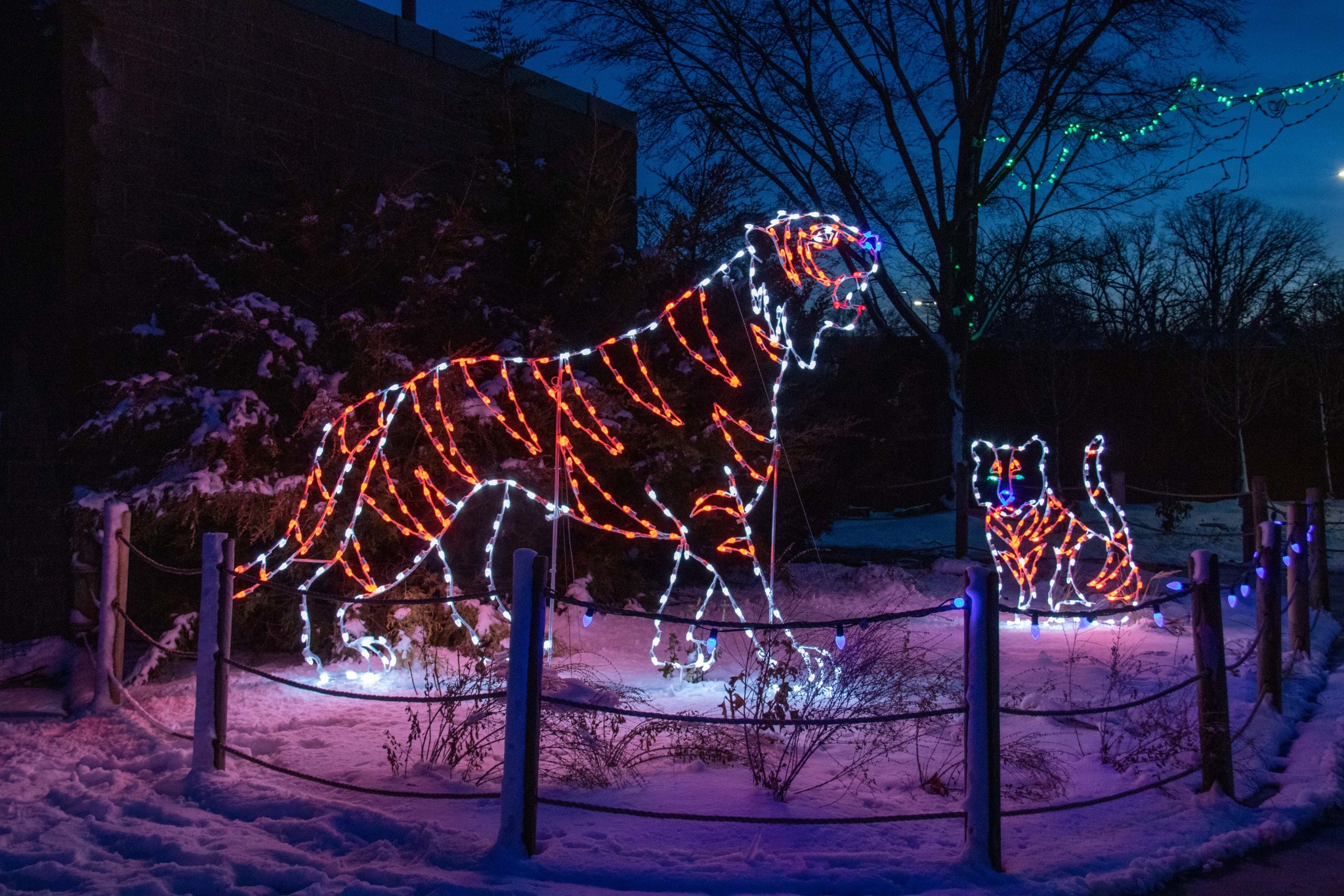 Lincoln Zoo Lights 2025