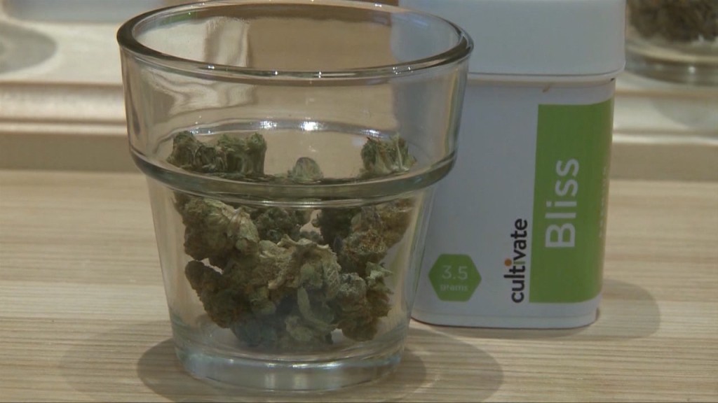 Cannabis Claims, Studies, And Concerns