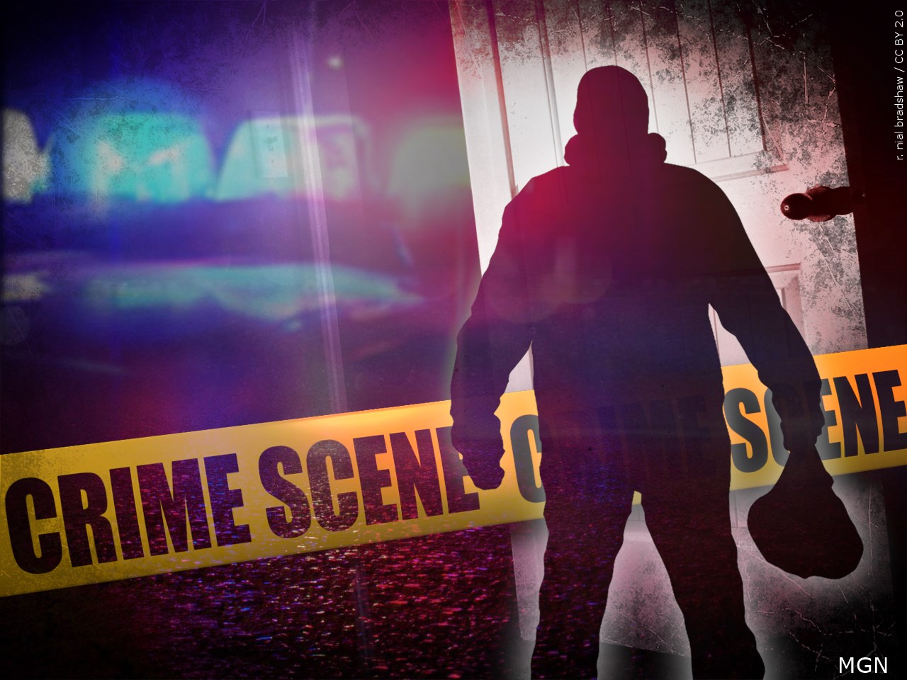 Lincoln woman says armed robbers beat her up before fleeing in $70,000 stolen truck - Vimarsana News
