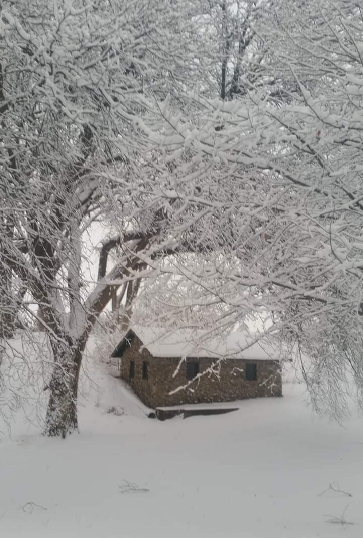 PHOTOS Winter storm brings snow, extreme cold to Nebraska