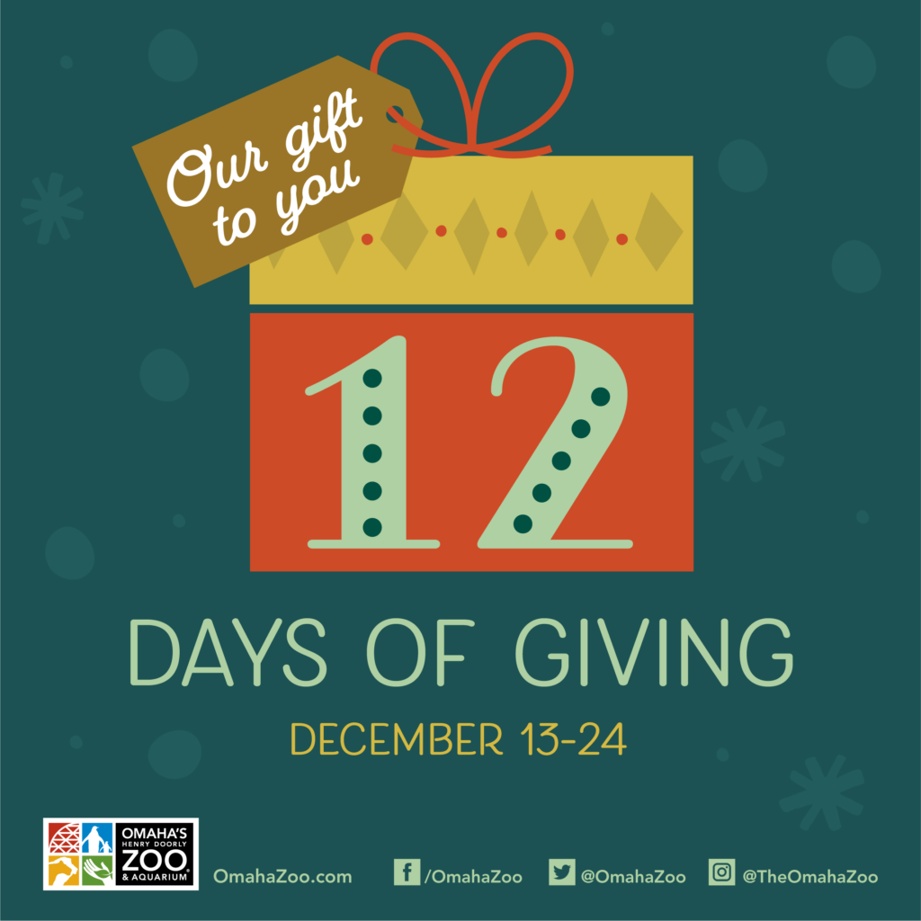 12 Days Of Giving Announce