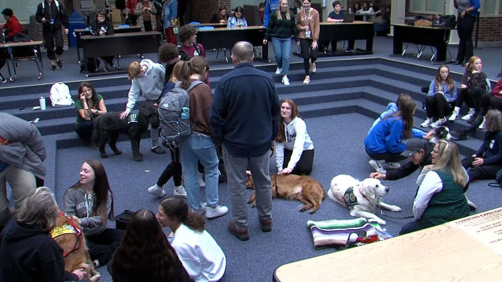 Lincoln East Therapy Dogs
