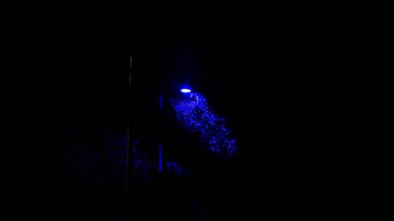 Lincoln Transportation and Utilities replaced 624 purple street lights