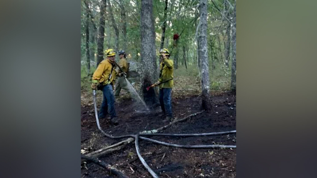 Dem Announces Training Program For Fighting Wildfires