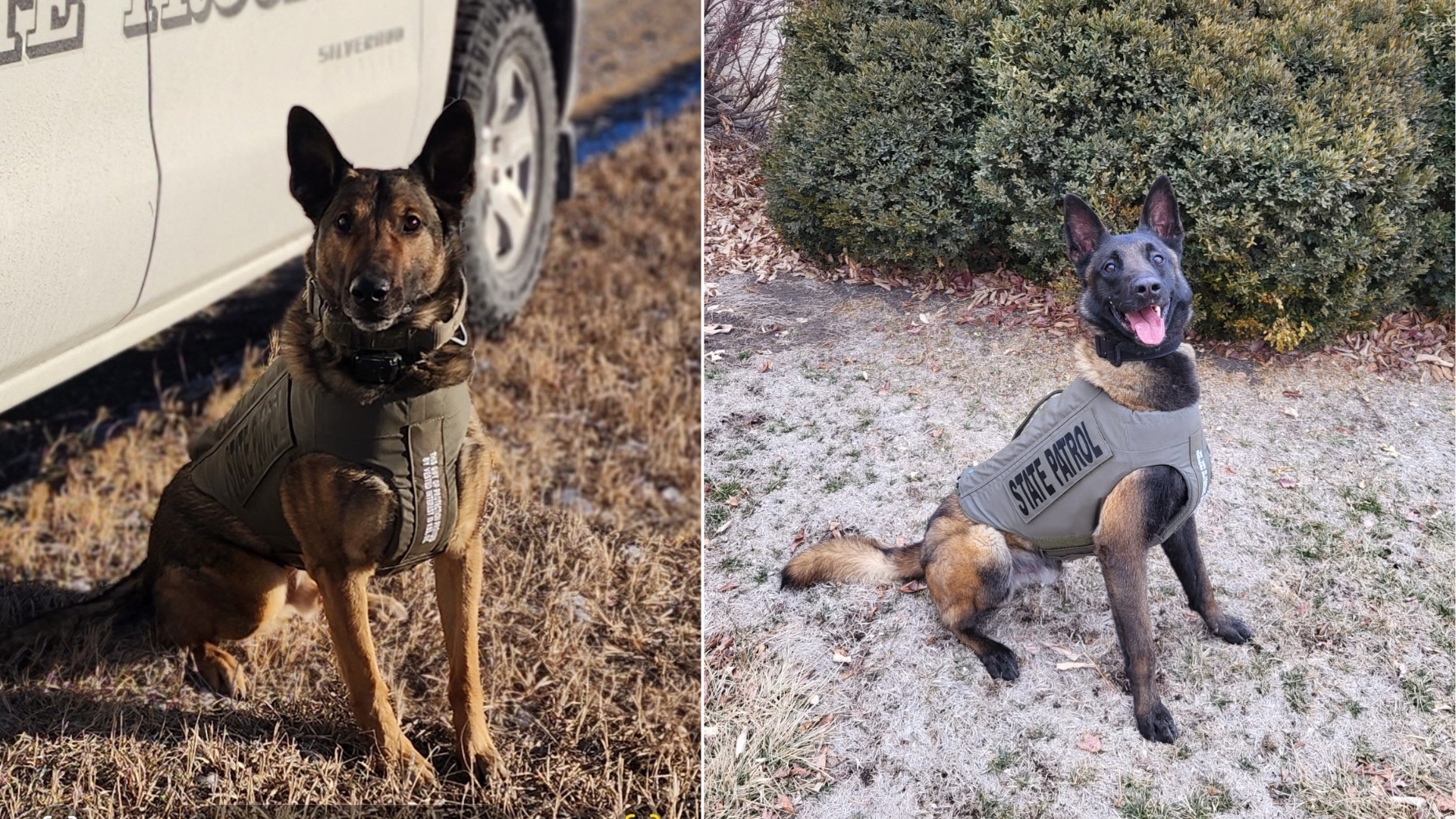 Nonprofit donates 10 protective vests to Nebraska State Patrol dogs