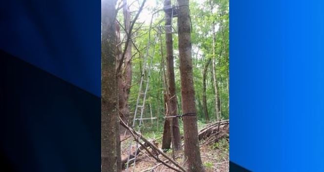 Ridem Asks Hunters To Remove Tree Stands From Management Areas