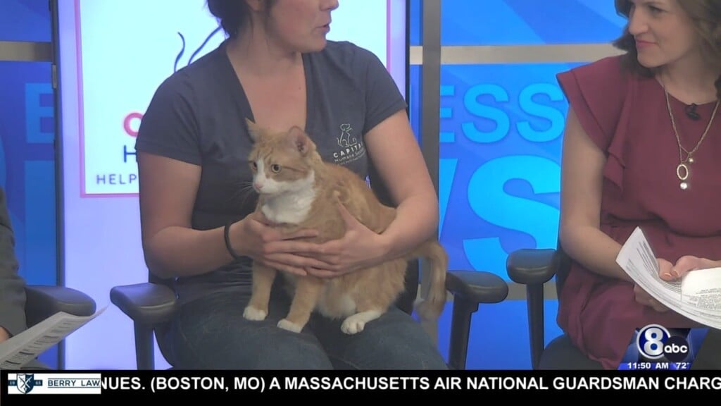 Midday Interview: Capital Humane Society (ozzy)