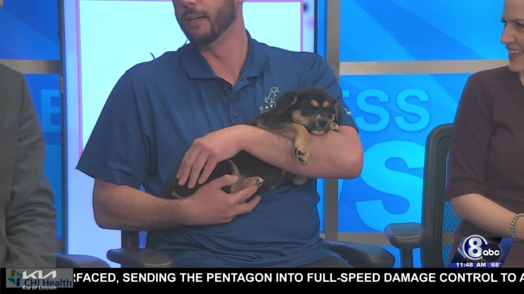 Midday Interview: Capital Humane Society (sassy)