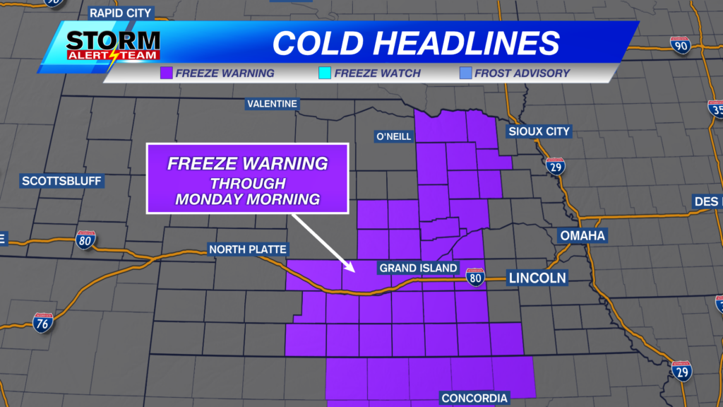 Freeze