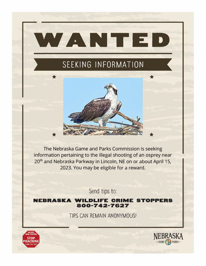 Osprey Shooter Wanted Courtesy Nebraska Game And Parks Commission