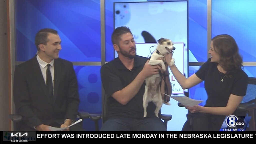 Midday Interview: Capital Humane Society (suzie)