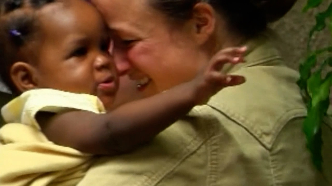 Foster care service expands to Lincoln to bolster overwhelmed system - Vimarsana News