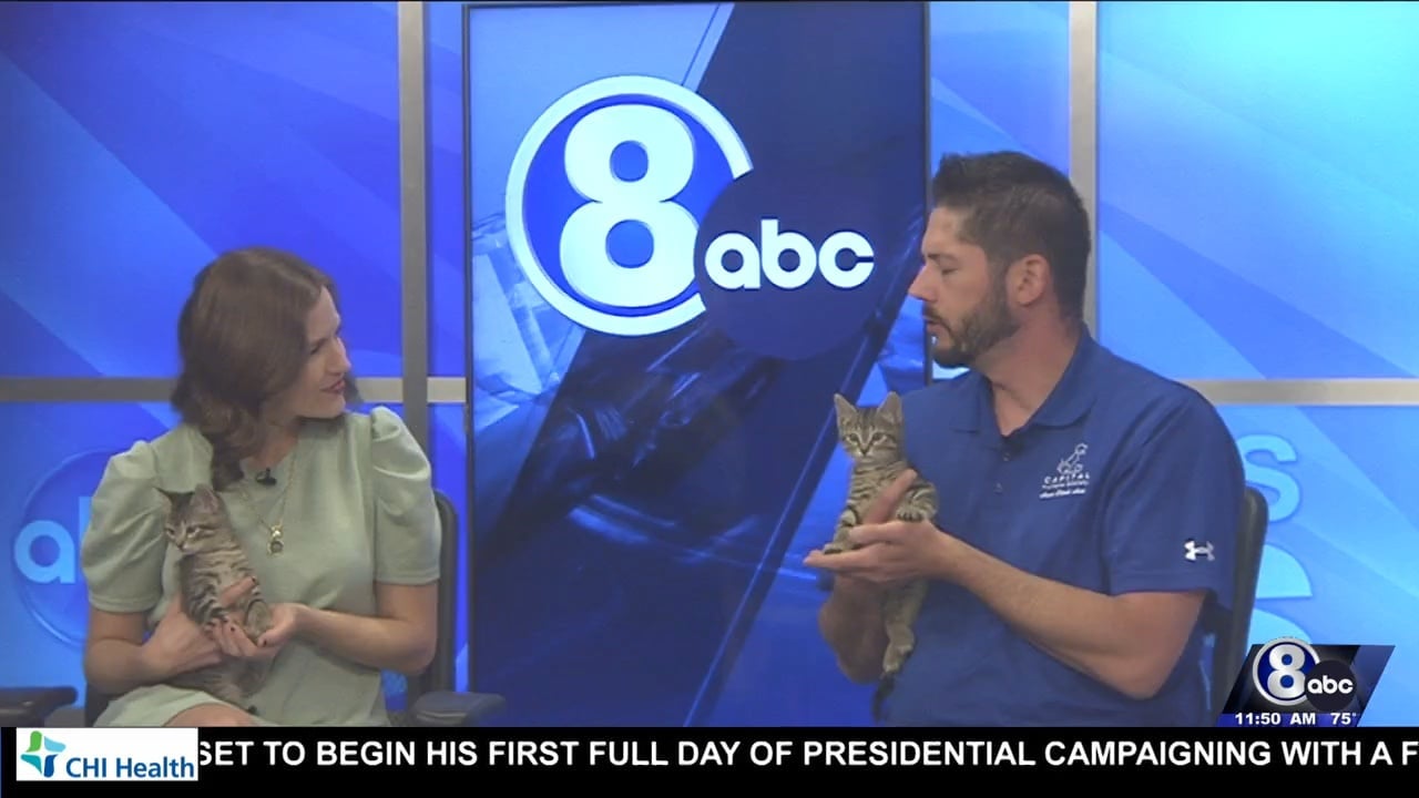 Midday Interview: Capital Humane Society (Sunny & Bear)