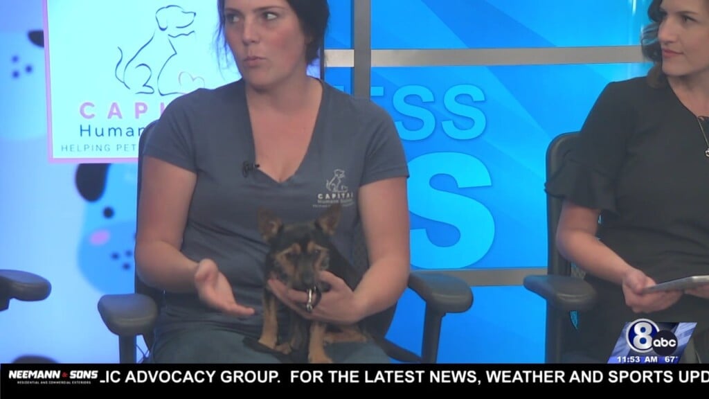 Midday Interview: Capital Humane Society (fudge)