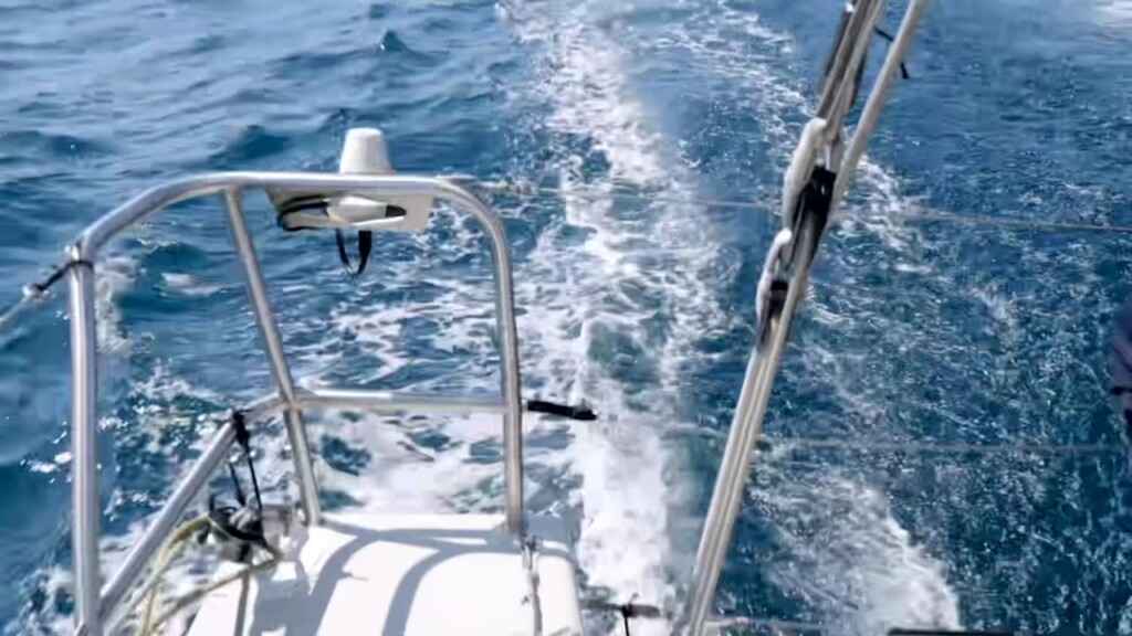 2 Ocean Race Boats Have Close Encounter With Killer Whales
