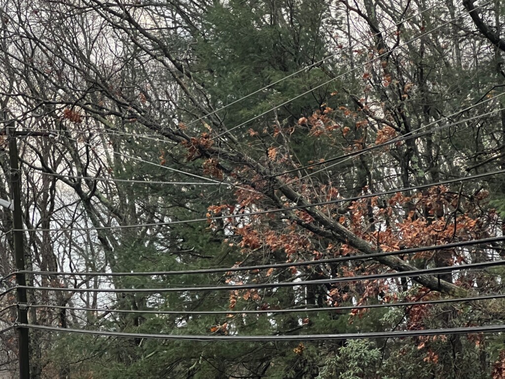 National Weather Service To Survey Storm Damage In Southeast Mass.