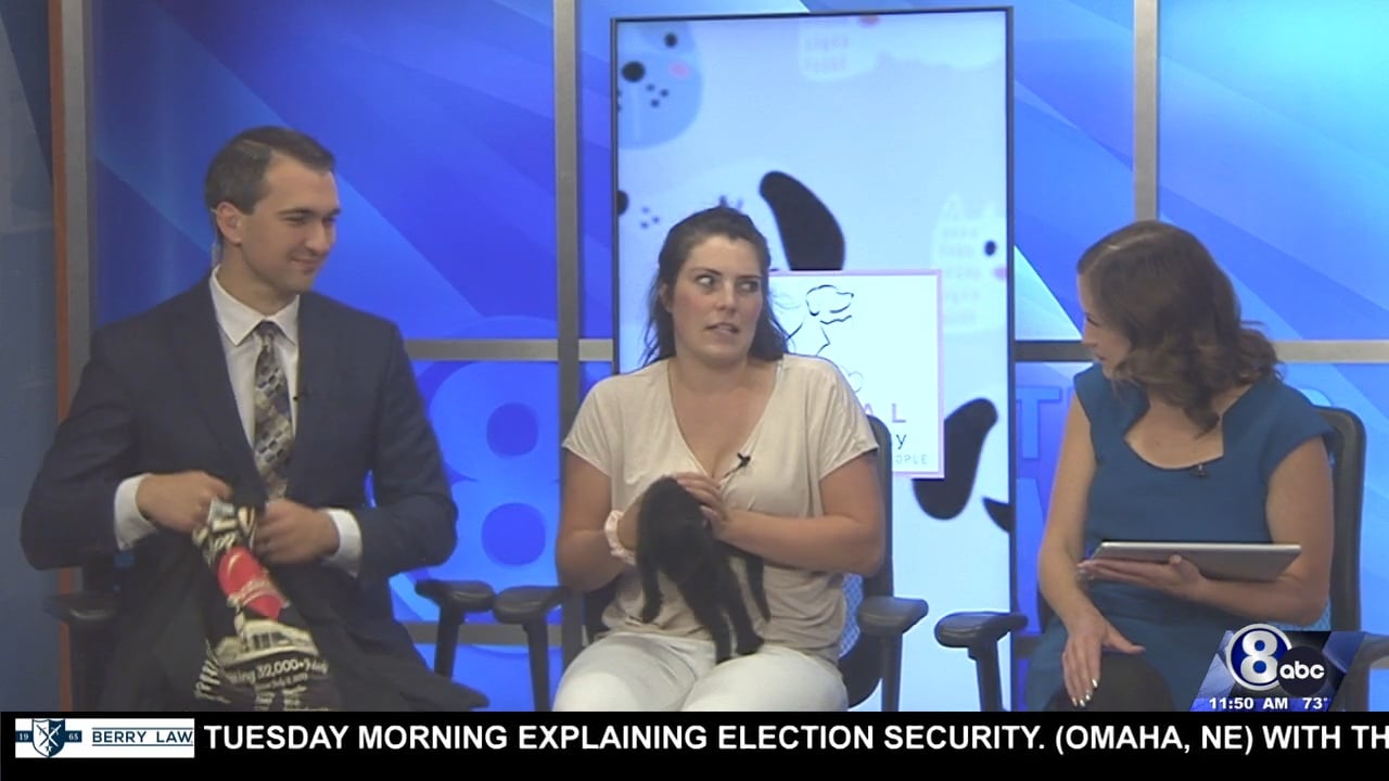 Midday Interview: Capital Humane Society (Confetti)